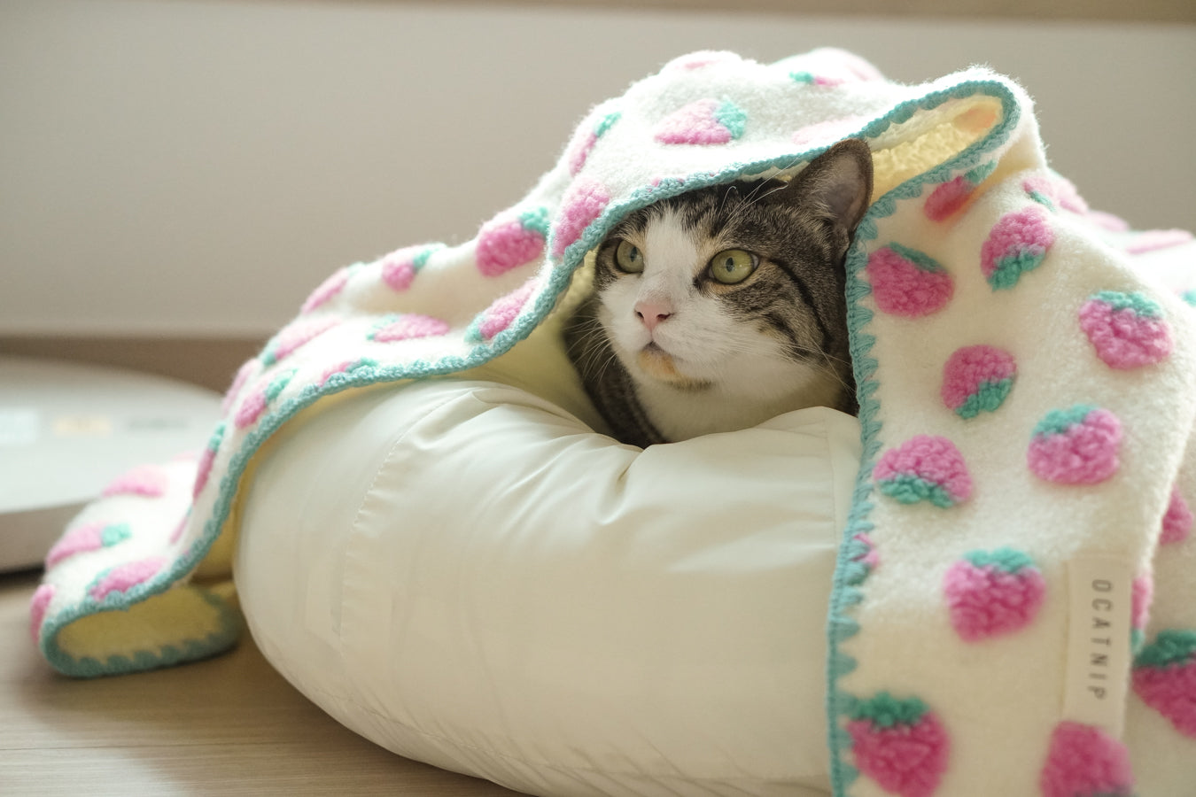 WhiskerTwitching Mystery of Why Cats Make Biscuits on Soft Blankets