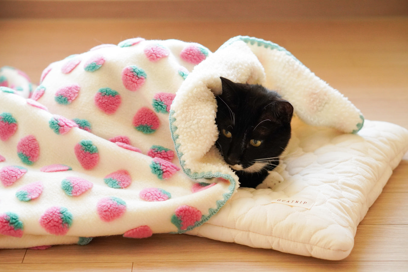 Cat Blankets – Ocatnip