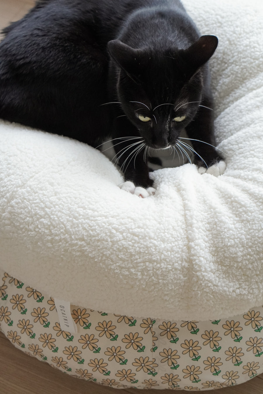 Marshmallow Pudding Bed Ocatnip