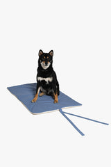 Blueberry Roll-Up Bed