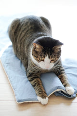 Blueberry Roll-Up Bed