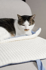 Blueberry Roll-Up Bed