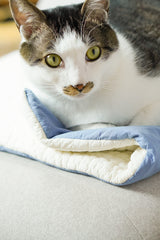 Blueberry Roll-Up Bed