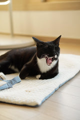 Blueberry Roll-Up Bed