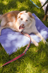 Blueberry Roll-Up Bed