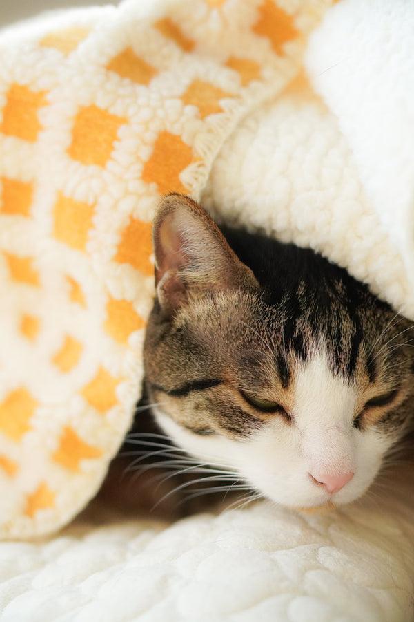 Waffle Puff Blanket