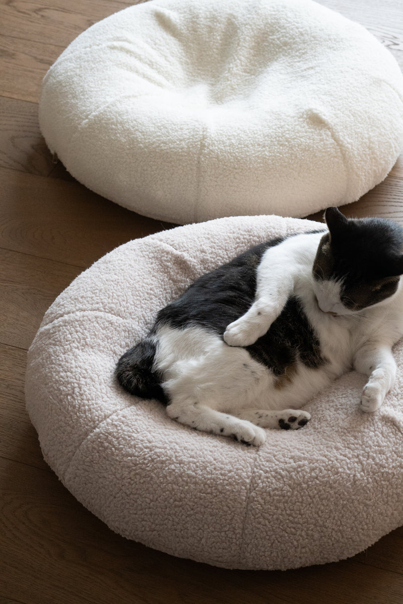 Taro Pudding Bed