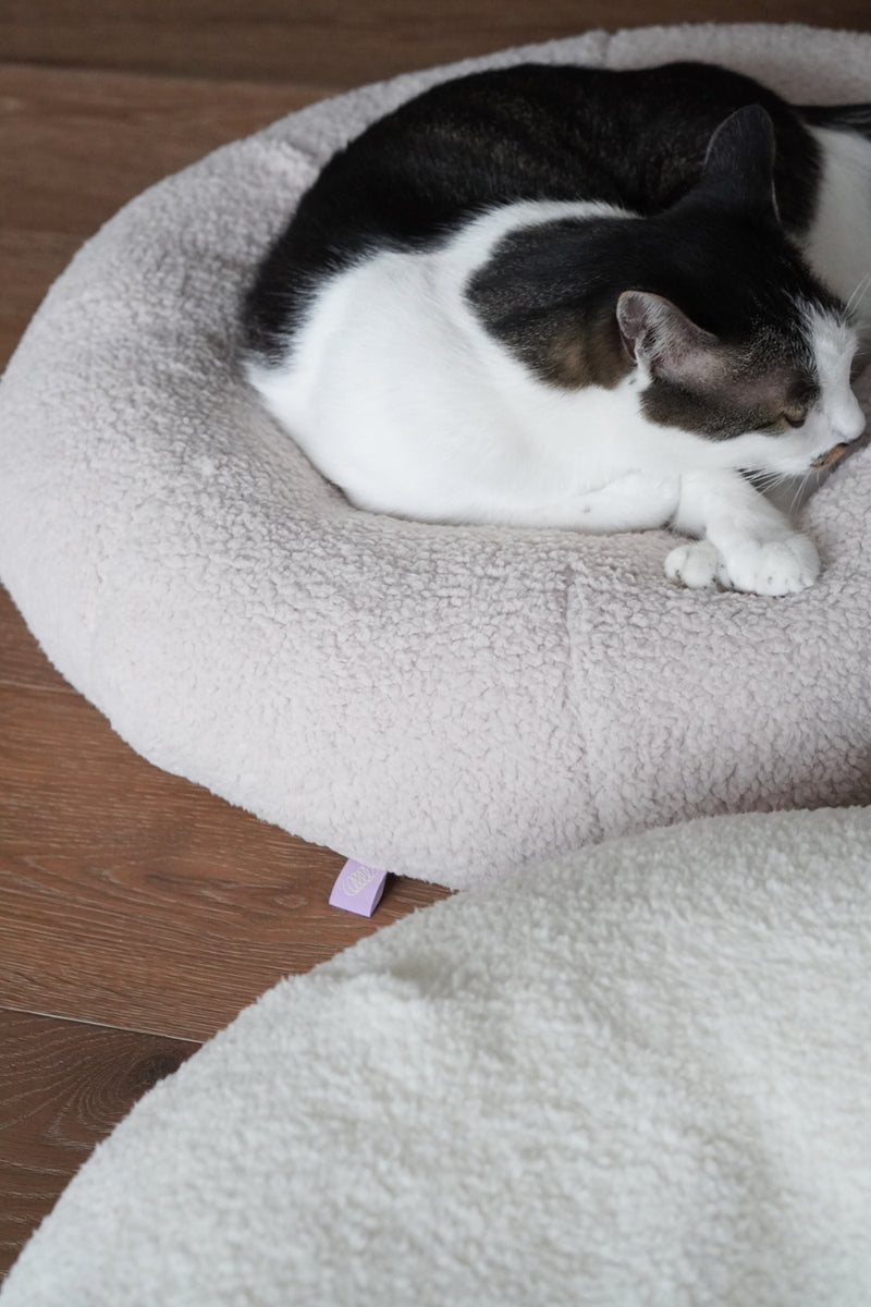 Taro Pudding Bed