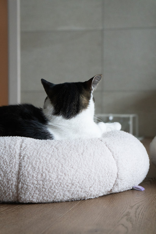Taro Pudding Bed
