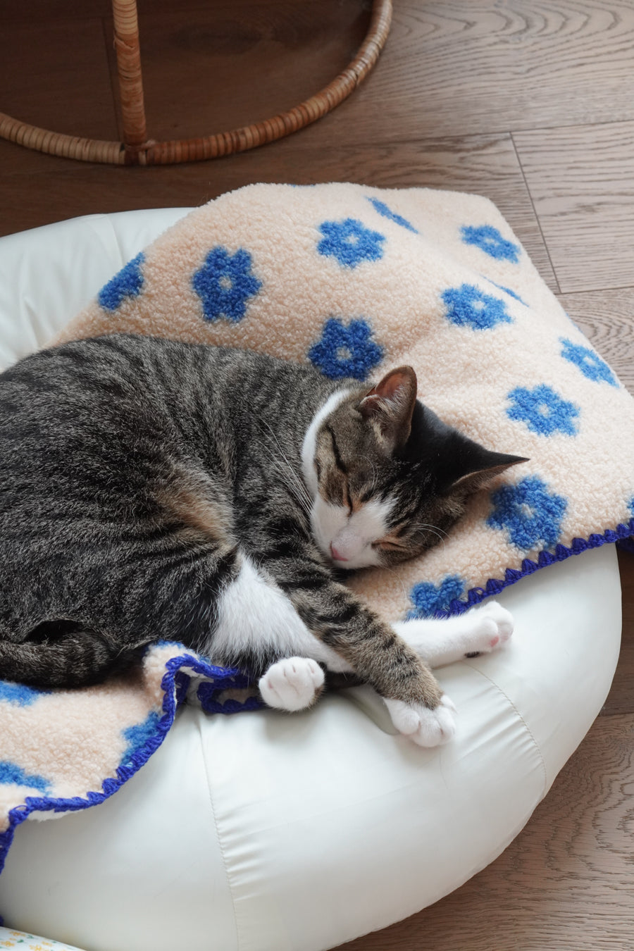 Cat Blankets – Ocatnip