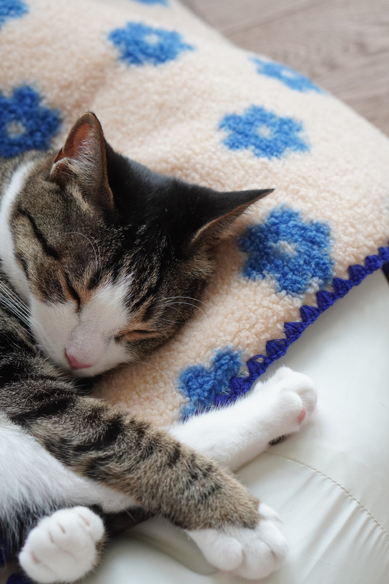 Little Summer Blanket
