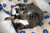 Little Summer Blanket