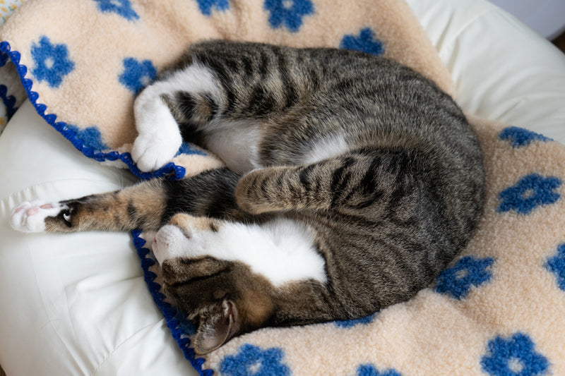 Little Summer Blanket