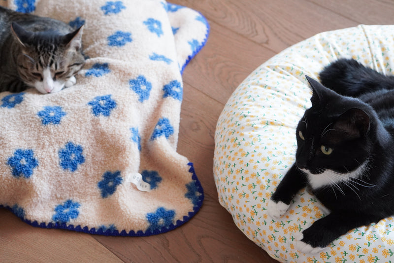 Little Summer Blanket