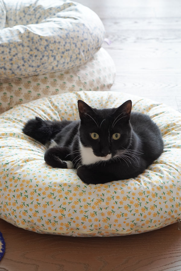 Sunny Poppy Pudding Bed