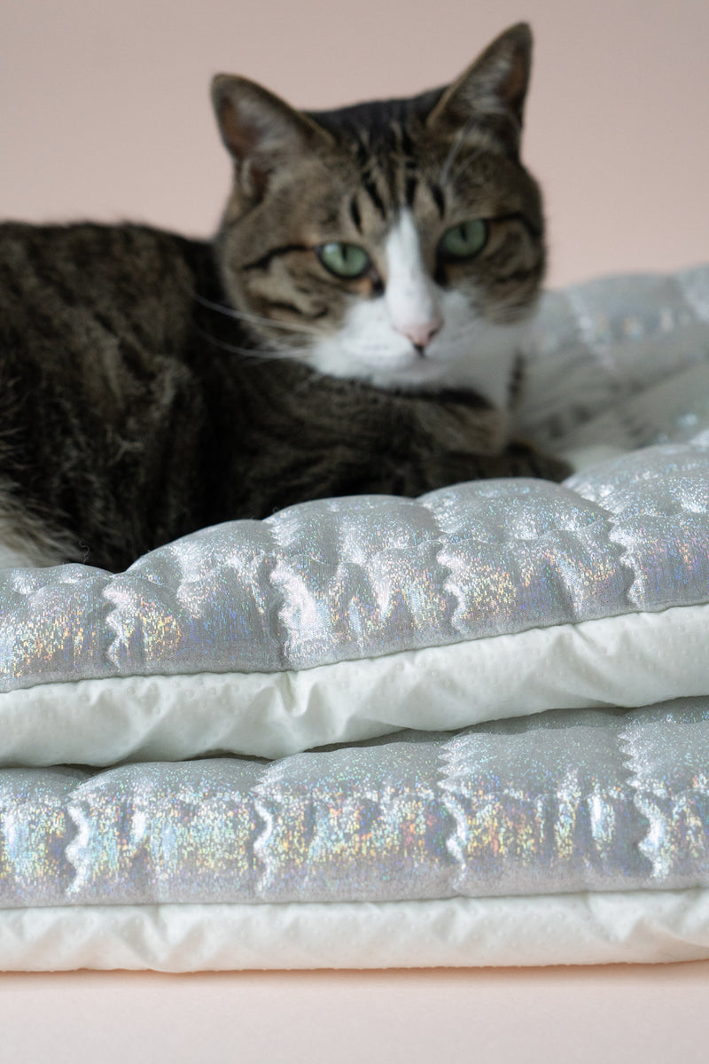 Supernova Ravioli Bed