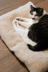 New Funfetti Pastry bed