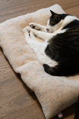New Funfetti Pastry bed