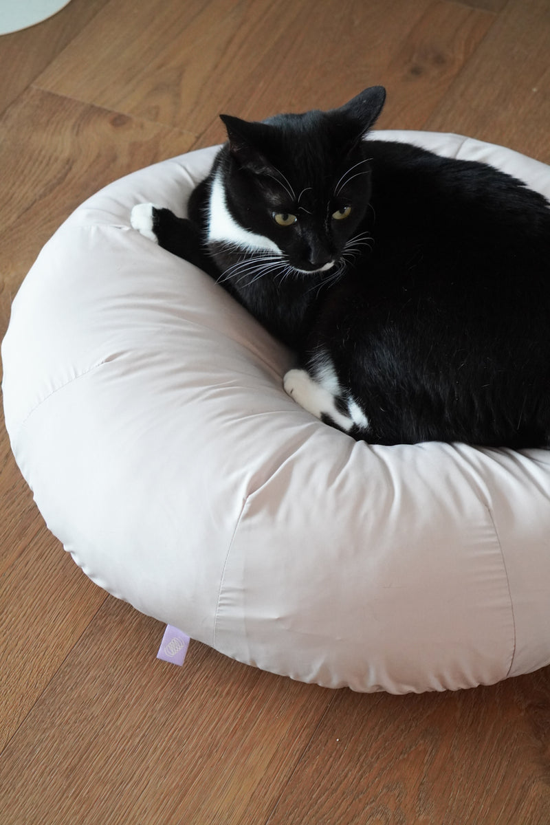 Milk Tea Pudding Bed