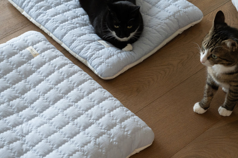 Puffer Ravioli Bed