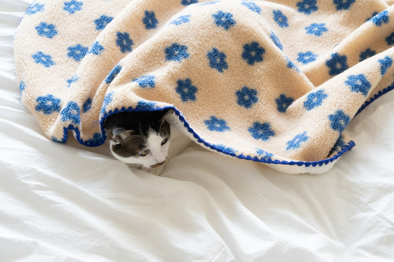 Little Summer Blanket
