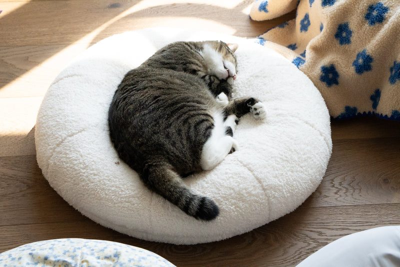 Marshmallow Pudding Bed