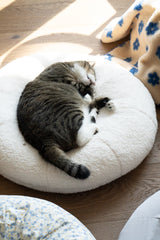 Marshmallow Pudding Bed