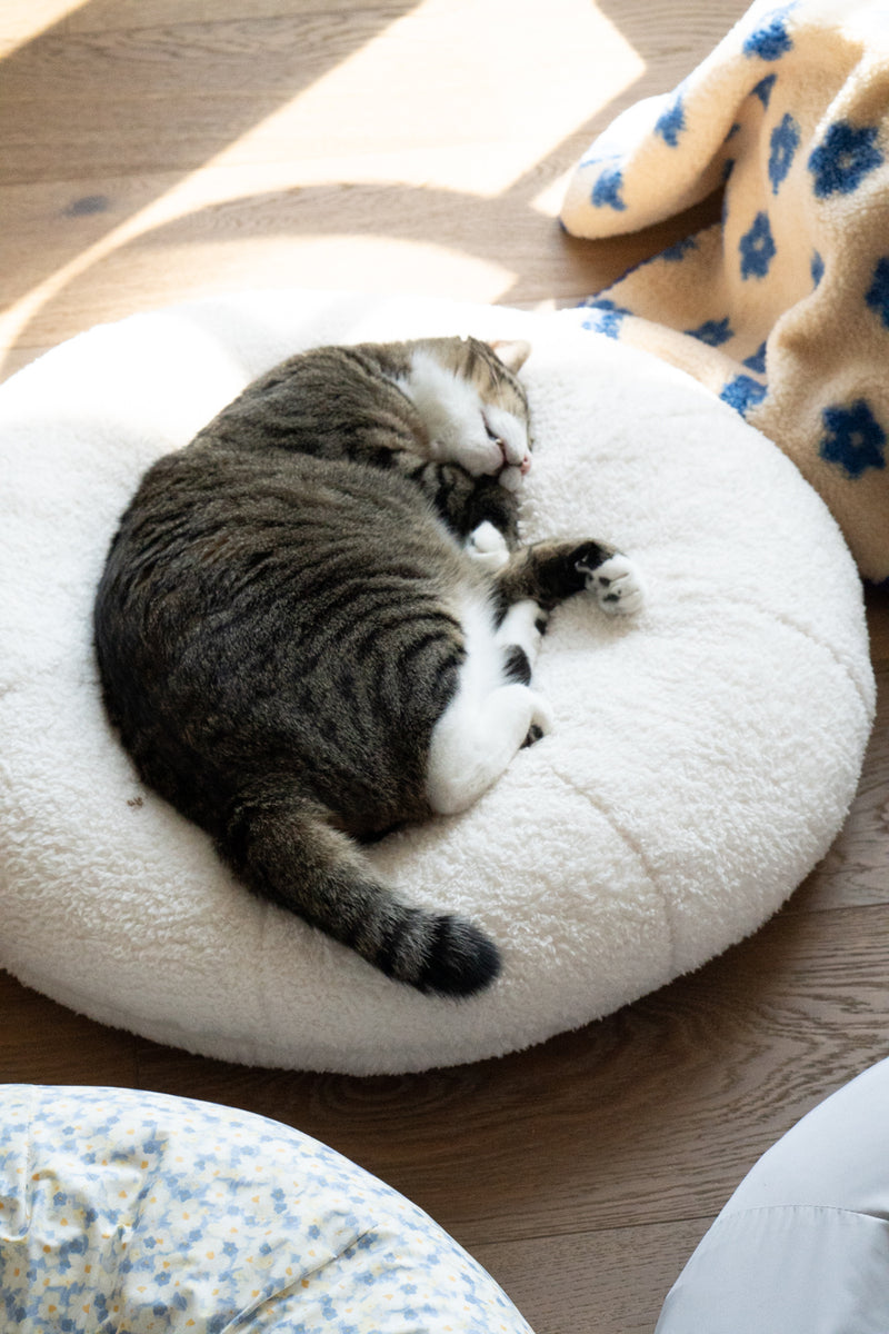 Marshmallow Pudding Bed