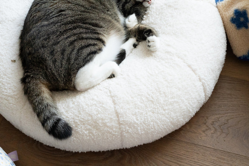 Marshmallow Pudding Bed