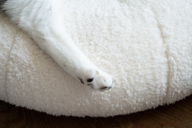 Marshmallow Pudding Bed