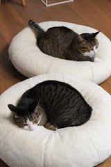 Sourdough Pudding Bed