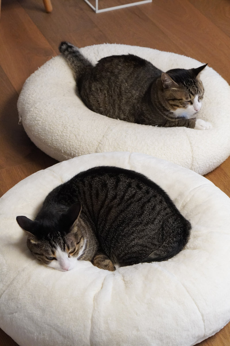 Sourdough Pudding Bed