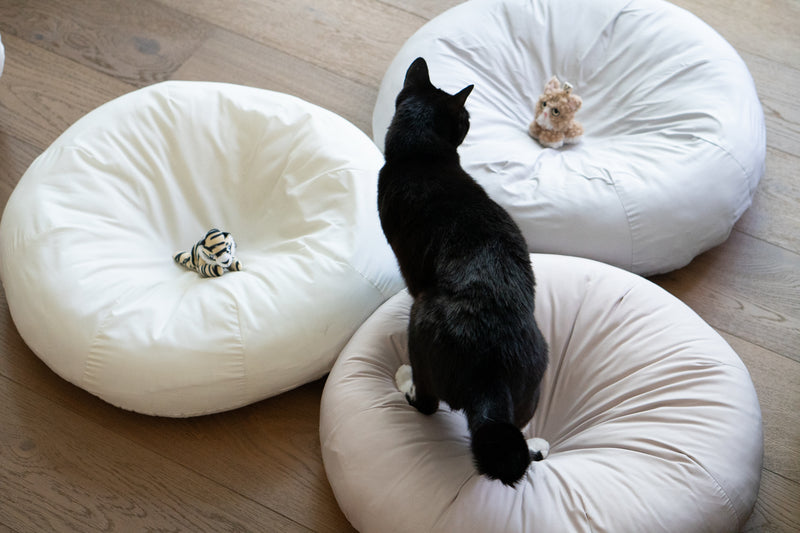 Milk Tea Pudding Bed