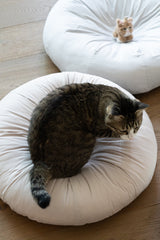 Milk Tea Pudding Bed