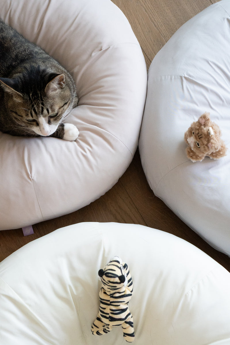 Milk Tea Pudding Bed