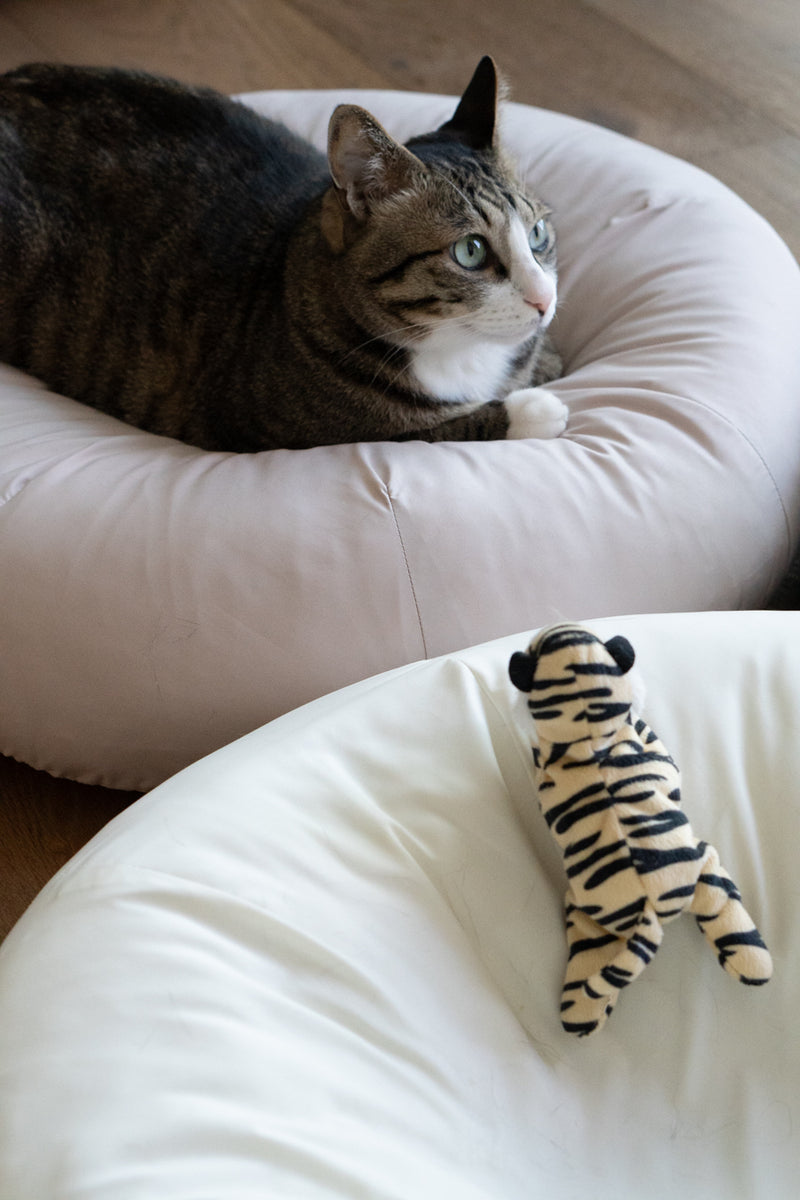 Milk Tea Pudding Bed