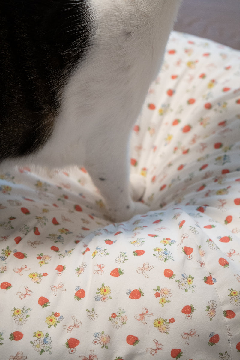 Strawberry Jam Pudding Bed