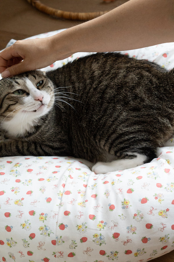 Strawberry Jam Pudding Bed