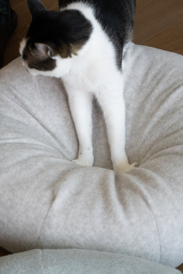 Mochi Pudding Bed