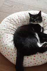 Strawberry Jam Pudding Bed