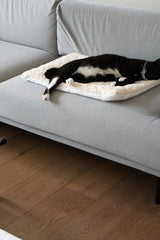 Cream Puff Bed