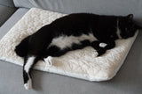 Cream Puff Bed