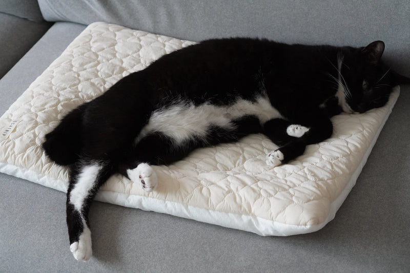 Cream Puff Bed