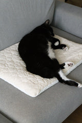Cream Puff Bed