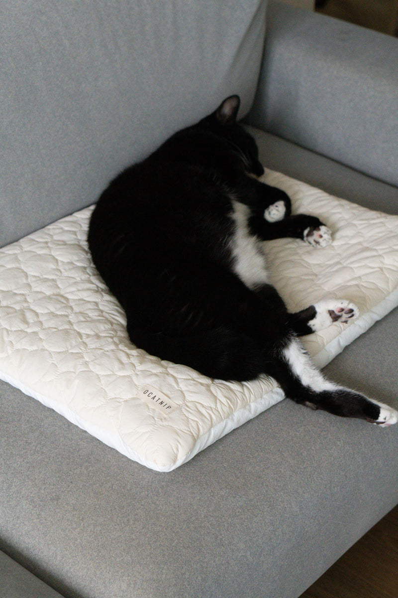 Cream Puff Bed