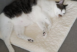 Cream Puff Bed