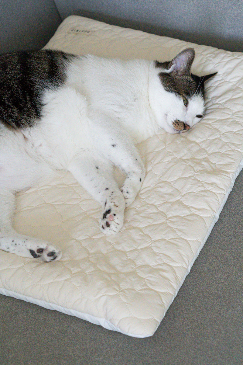 Cream Puff Bed