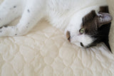 Cream Puff Bed