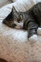 Strawberry Cream Pudding Bed