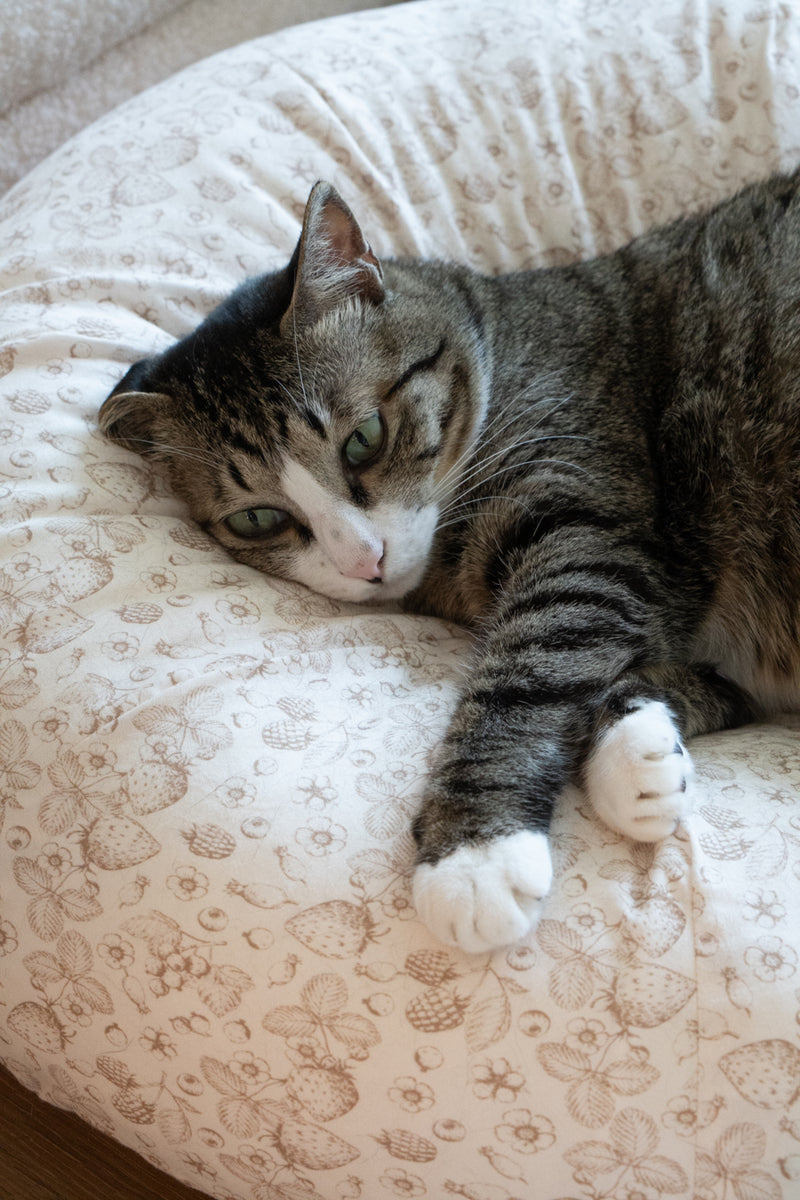 Strawberry Cream Pudding Bed